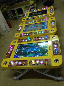 一網打盡捕魚機價格與軟件開發全解析